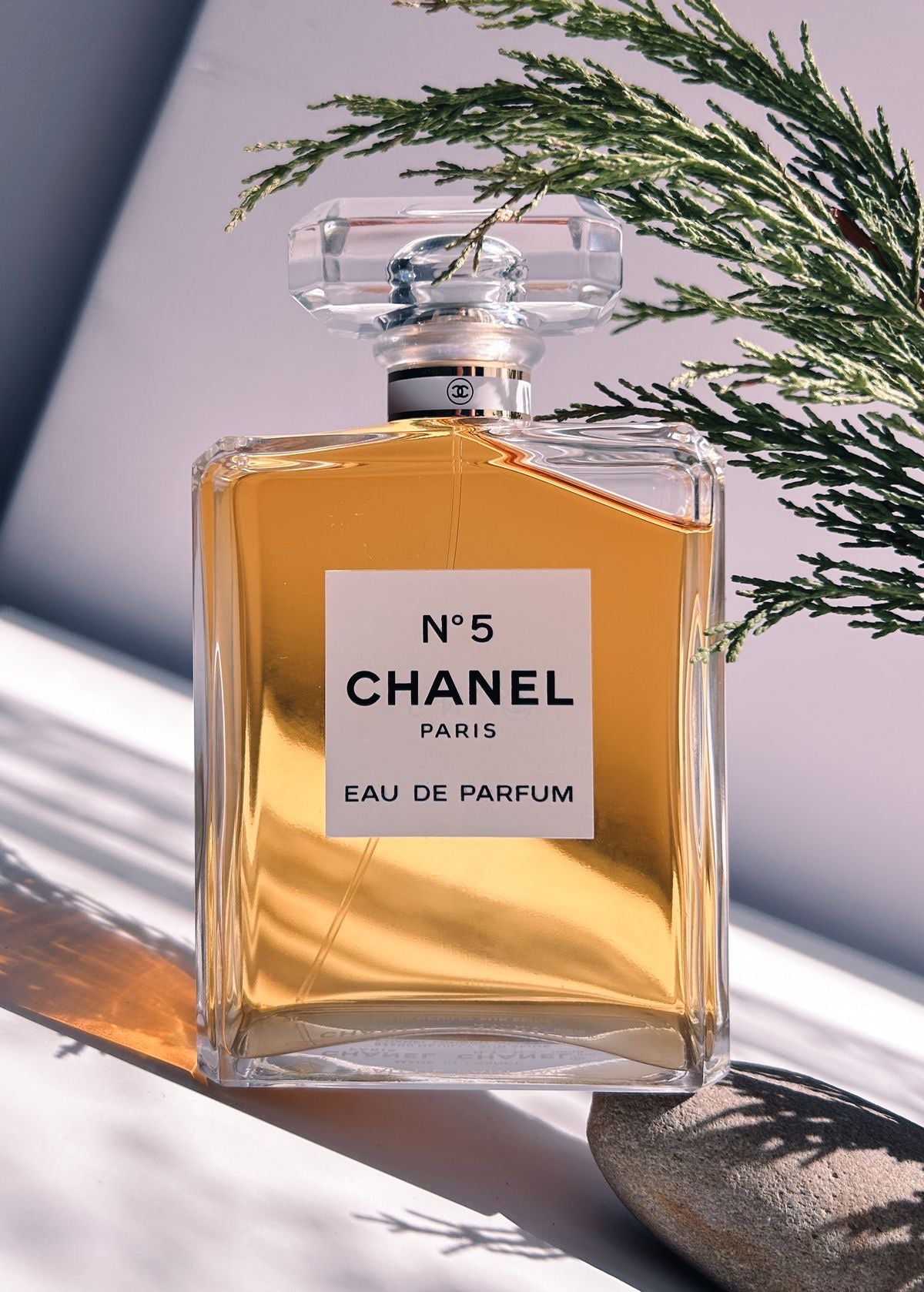Chanel N°5 Paris Woman