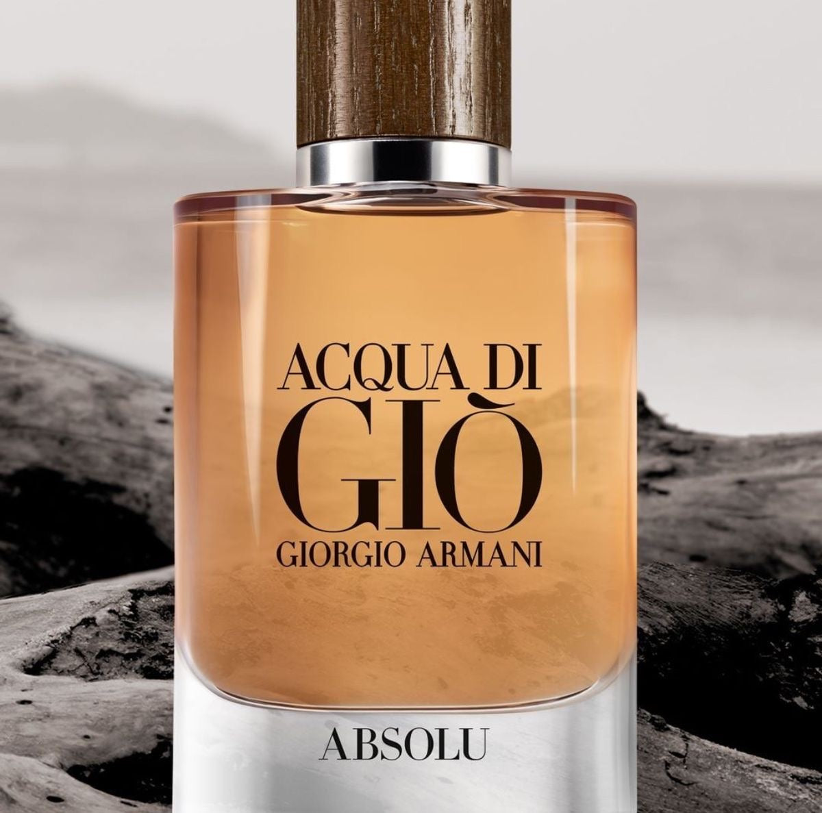 Giorgio Armani Acqua Di Gio Absolu
