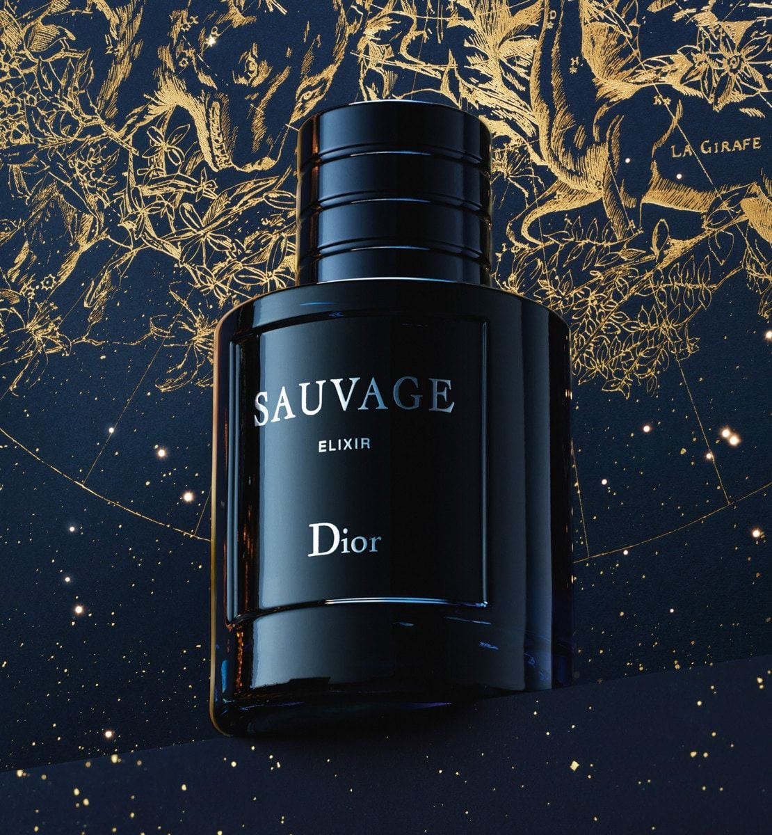 Dior Savage Elixir Men