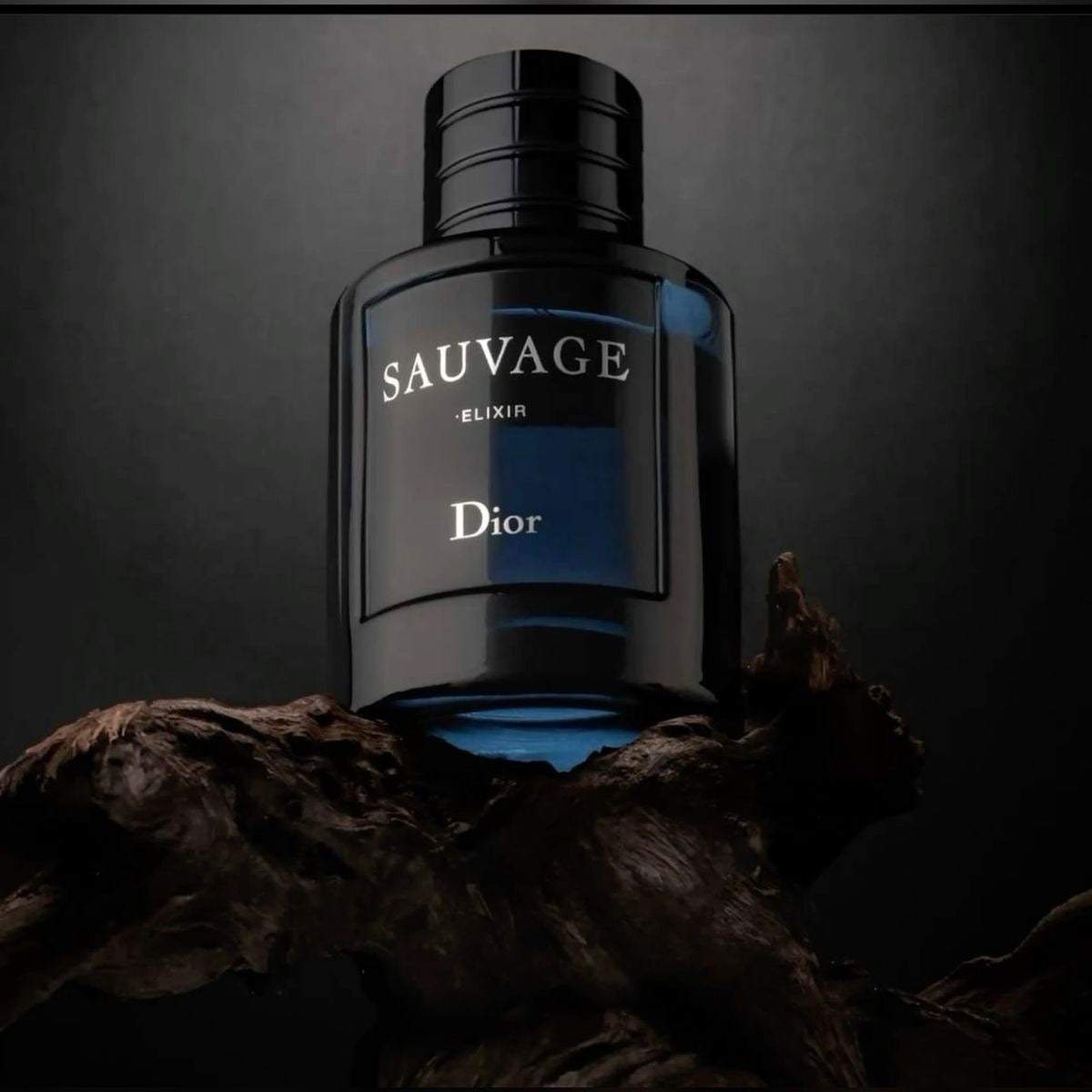 Dior Savage Elixir Men's