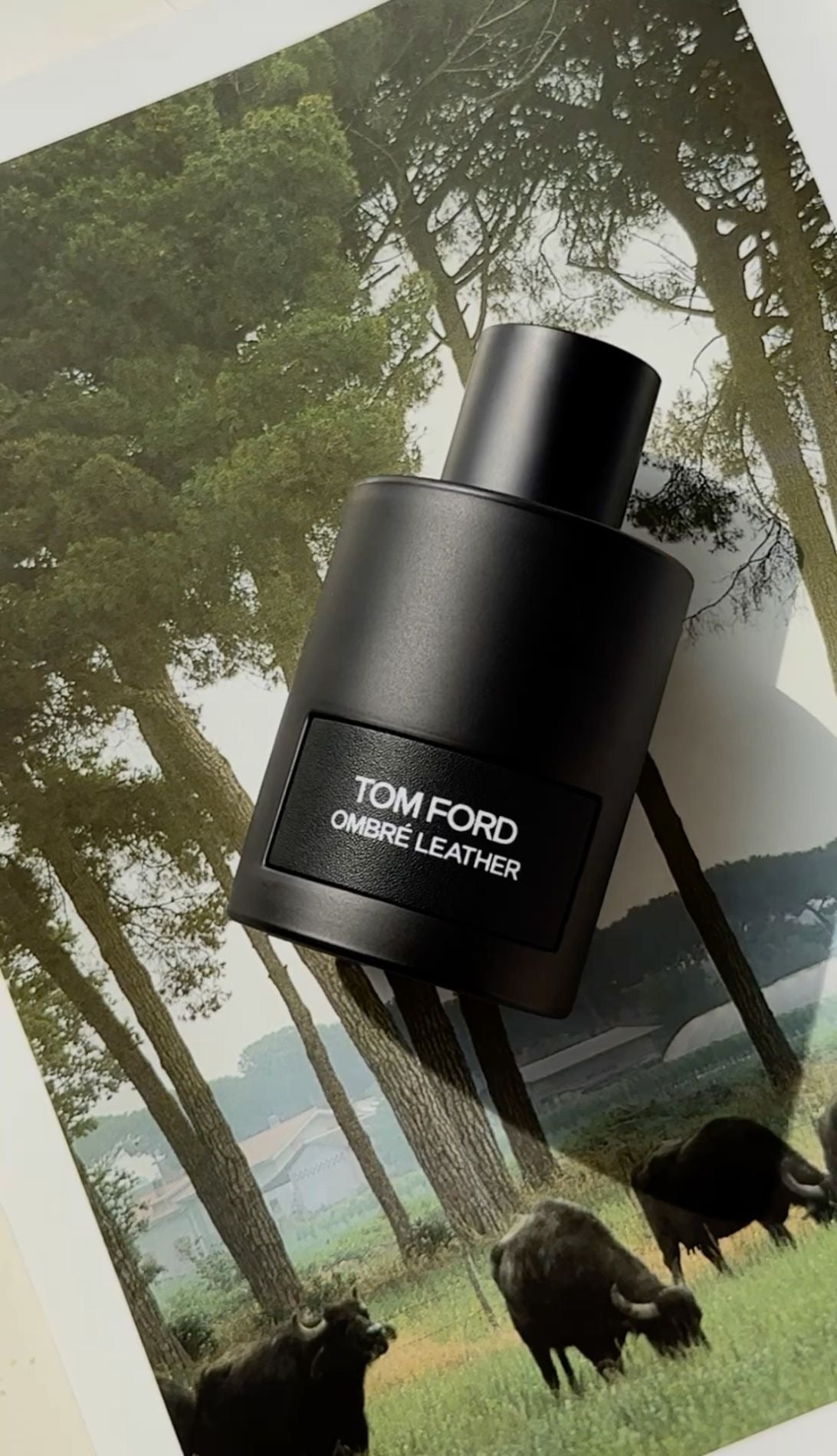 Tom Ford Ombre Leather 3.4 oz Men