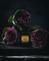 Tom Ford Noir De Noir Man