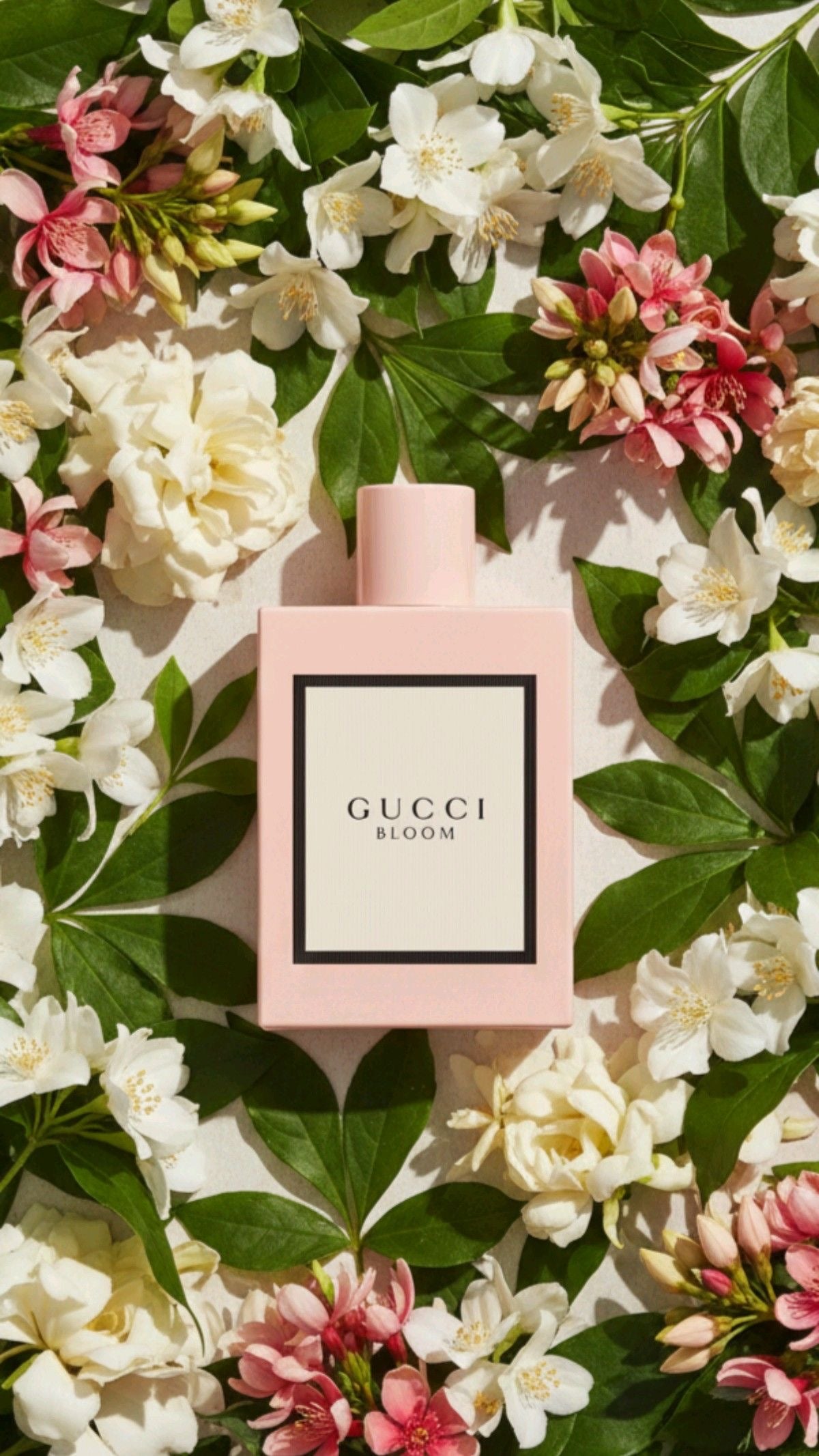 GUCCI BLOOM 100ml Toilette